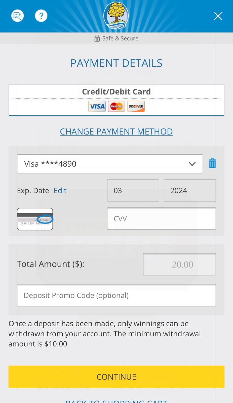 Purchasing Online Raffle Tickets | Michigan Lottery FAQ
