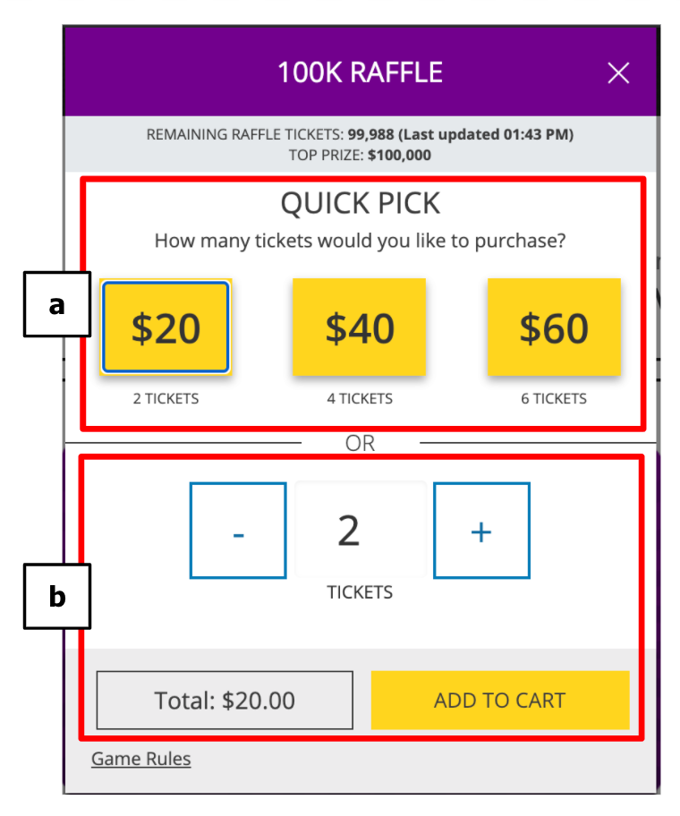 Purchasing Online Raffle Tickets | Michigan Lottery FAQ